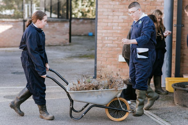 Students moving dead plants in a wheelbarrow